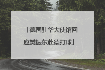 德国驻华大使馆回应樊振东赴德打球