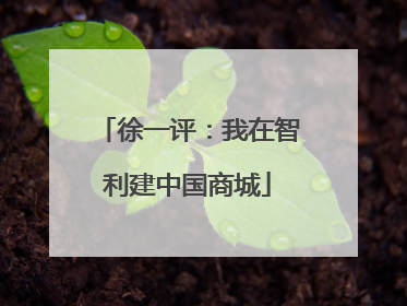 徐一评：我在智利建中国商城