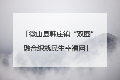 微山县韩庄镇“双圈”融合织就民生幸福网