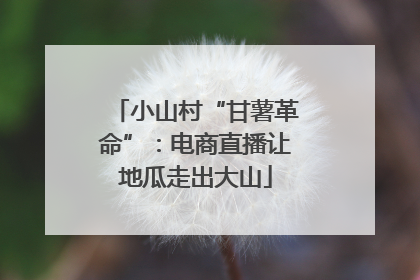 小山村“甘薯革命”：电商直播让地瓜走出大山