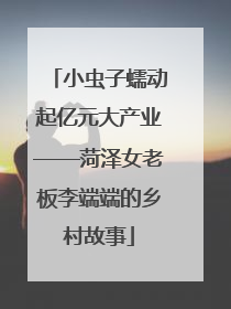 小虫子蠕动起亿元大产业——菏泽女老板李端端的乡村故事