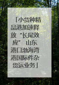 小货种精品港加速释放“长尾效应” 山东港口渤海湾港国际件杂货运业务