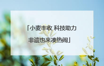 小麦丰收 科技助力 非遗也来凑热闹