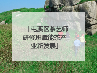 屯溪区茶艺师研修班赋能茶产业新发展