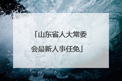 山东省人大常委会最新人事任免