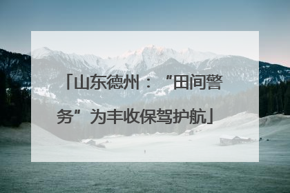 山东德州：“田间警务”为丰收保驾护航
