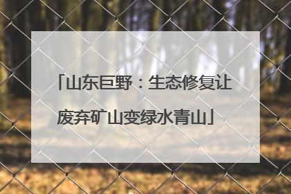 山东巨野：生态修复让废弃矿山变绿水青山