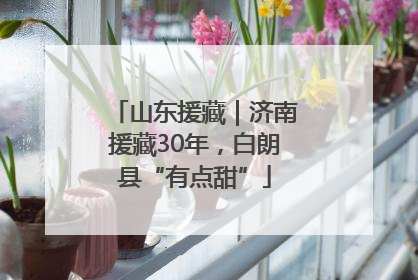 山东援藏｜济南援藏30年，白朗县“有点甜”