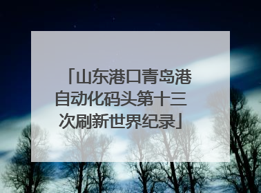 山东港口青岛港自动化码头第十三次刷新世界纪录