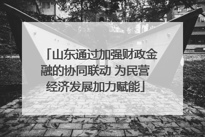 山东通过加强财政金融的协同联动 为民营经济发展加力赋能