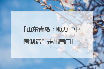 山东青岛：助力“中国制造”走出国门