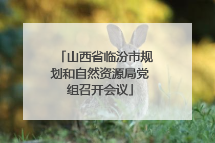 山西省临汾市规划和自然资源局党组召开会议