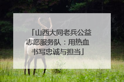 山西大同老兵公益志愿服务队：用热血书写忠诚与担当