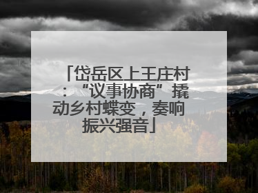 岱岳区上王庄村：“议事协商”撬动乡村蝶变，奏响振兴强音