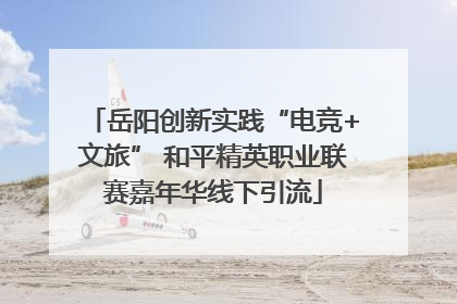 岳阳创新实践“电竞+文旅” 和平精英职业联赛嘉年华线下引流