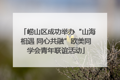 崂山区成功举办“山海相遇 同心共融”欧美同学会青年联谊活动