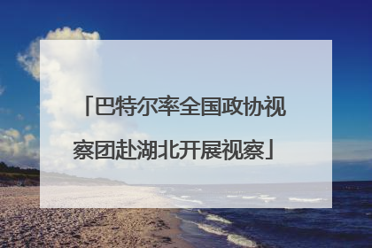 巴特尔率全国政协视察团赴湖北开展视察