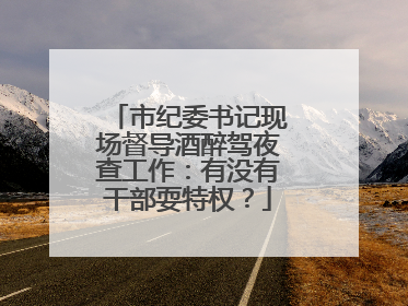 市纪委书记现场督导酒醉驾夜查工作：有没有干部耍特权？
