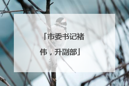 市委书记褚伟，升副部