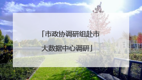 市政协调研组赴市大数据中心调研