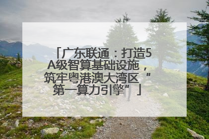 广东联通：打造5A级智算基础设施，筑牢粤港澳大湾区“第一算力引擎”