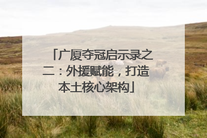 广厦夺冠启示录之二：外援赋能，打造本土核心架构