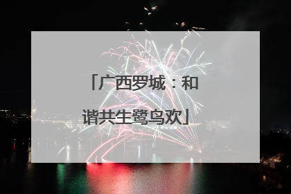 广西罗城：和谐共生鹭鸟欢