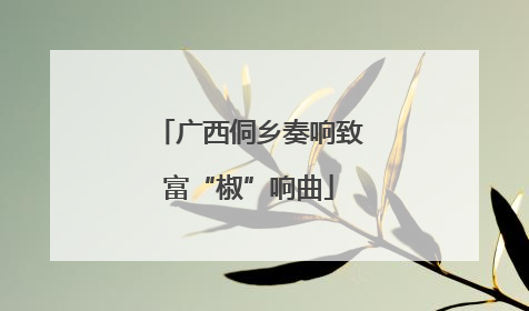 广西侗乡奏响致富“椒”响曲
