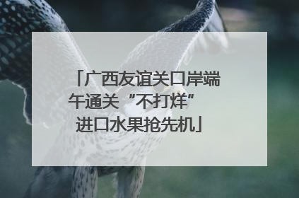 广西友谊关口岸端午通关“不打烊” 进口水果抢先机