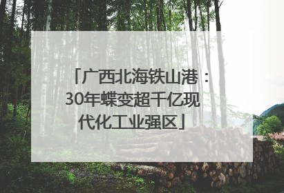 广西北海铁山港：30年蝶变超千亿现代化工业强区