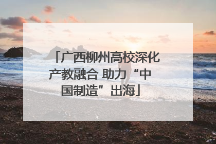 广西柳州高校深化产教融合 助力“中国制造”出海