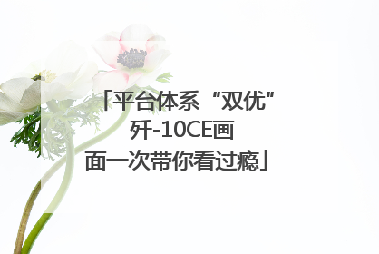 平台体系“双优”  歼-10CE画面一次带你看过瘾