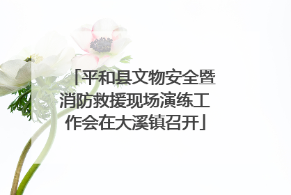 平和县文物安全暨消防救援现场演练工作会在大溪镇召开