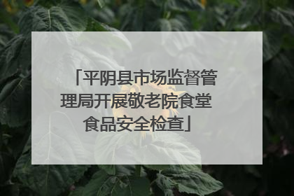 平阴县市场监督管理局开展敬老院食堂食品安全检查