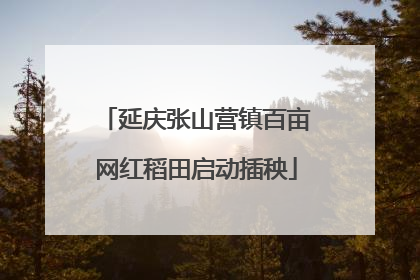 延庆张山营镇百亩网红稻田启动插秧