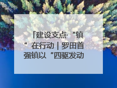 建设支点·“镇”在行动｜罗田首强镇以“四驱发动”践行首镇担当