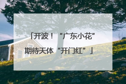 开波！“广东小花”期待天体“开门红”