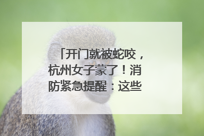 开门就被蛇咬，杭州女子蒙了！消防紧急提醒：这些方法都不靠谱！