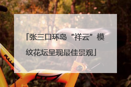 张三口环岛“祥云”模纹花坛呈现最佳景观