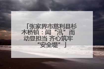 张家界市慈利县杉木桥镇：闻“汛”而动显担当 齐心筑牢“安全堤”