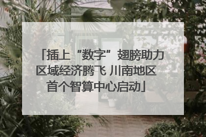 插上“数字”翅膀助力区域经济腾飞 川南地区首个智算中心启动