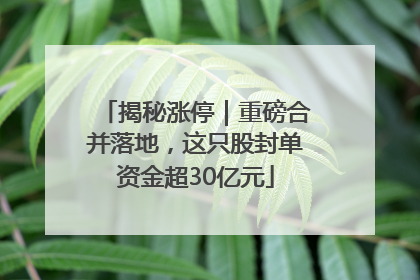 揭秘涨停｜重磅合并落地，这只股封单资金超30亿元