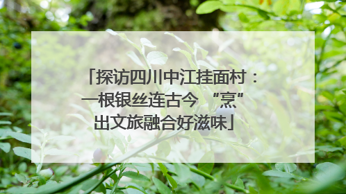 探访四川中江挂面村：一根银丝连古今 “烹”出文旅融合好滋味