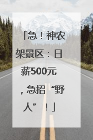 急！神农架景区：日薪500元，急招“野人”！