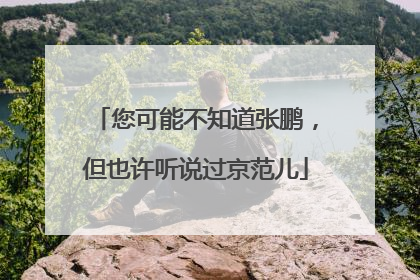 您可能不知道张鹏，但也许听说过京范儿