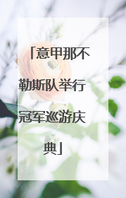 意甲那不勒斯队举行冠军巡游庆典
