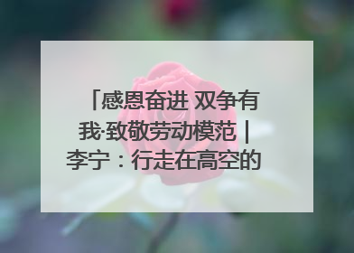 感恩奋进 双争有我·致敬劳动模范｜李宁：行走在高空的“电网卫士”