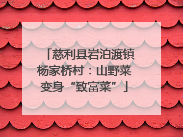 慈利县岩泊渡镇杨家桥村：山野菜变身“致富菜”