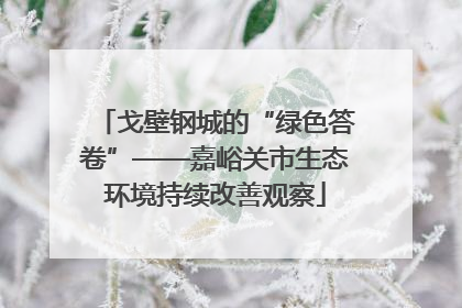 戈壁钢城的“绿色答卷”——嘉峪关市生态环境持续改善观察