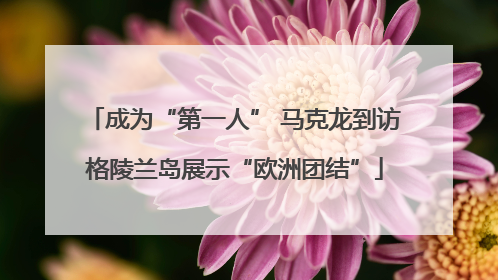 成为“第一人” 马克龙到访格陵兰岛展示“欧洲团结”